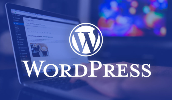 Trong thư viện của WordPress, có hàng ngàn theme miễn phí, phù hợp với đa dạng mục đích xây dựng web khác nhau của người dùng